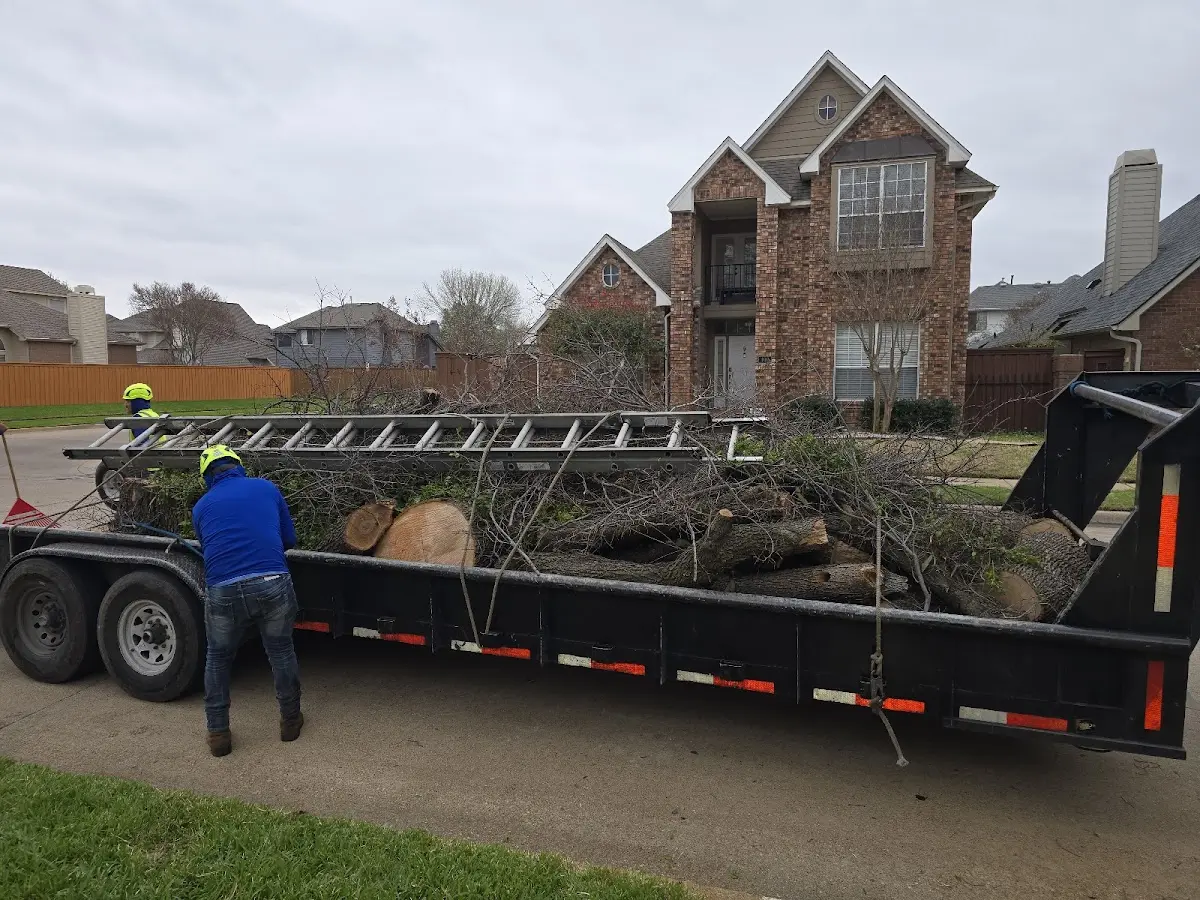 Expert Tree Removal with proper safety equipment in Harrison